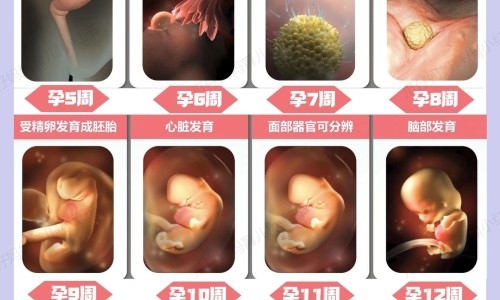 食管炎能吃甘草锌颗粒吗网—知名的食管炎喝康复新液管用吗网站,分享食管炎可以喝康复新液吗知识